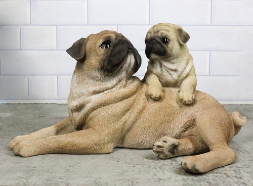 Realistic adorable canine - realistic,