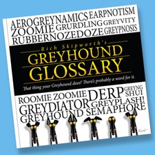 Rich Skipworth's Greyhound