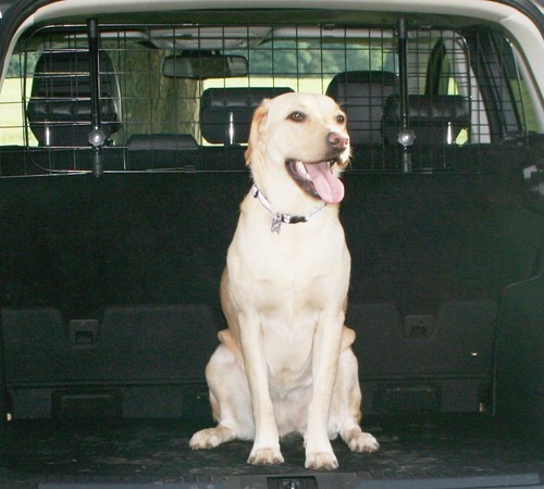 Fits jeep renegade - fits,