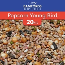 Popcorn Young Bird Pigeon Food