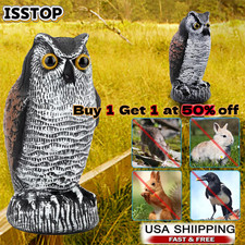 Owl Decoy Statue Protect