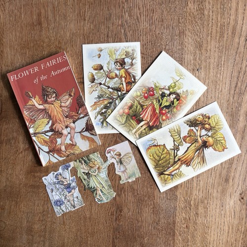 Flower fairies the autumn - fairies, of