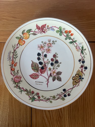 Aynsley fruits flowers of - fruits,