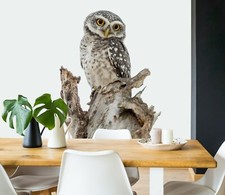 3D Baby Owl I650 Animal