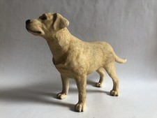 Leonardo Golden Labrador