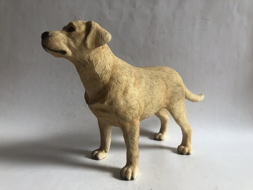 Leonardo golden labrador - leonardo,