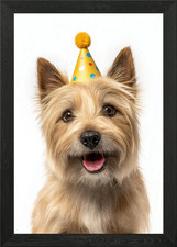 Norwich Terrier Dog with Party