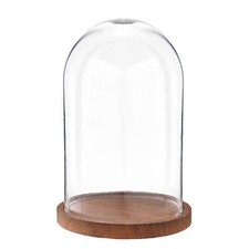 25cm Glass Display Bell Jar Round Cloche on Dark Wood Base Display Stand