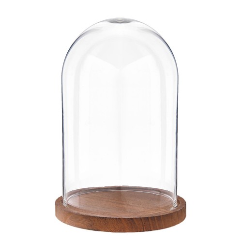 25cm glass display - glass, bell