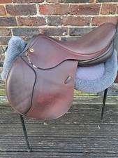 17.5 Walsall Riding ( Ideal)