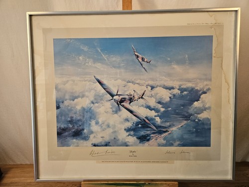 Robert taylor spitfire - taylor,