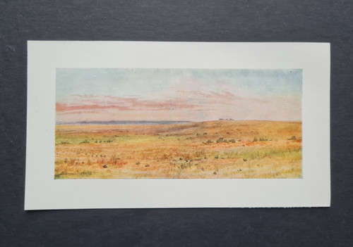 Antique 1907 print out - antique,