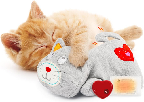 All for paws - paws, cat