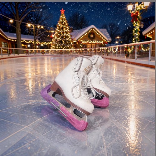 Jackson mystique figure skates - jackson,