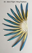 Parrot Macaw Feather Crafts