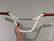 Old School Bmx Skyway Ez