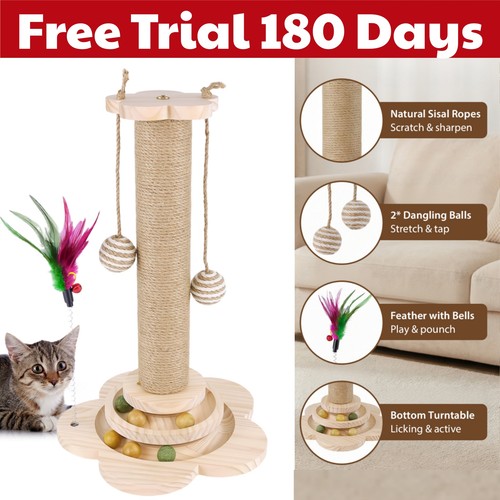 Large tall cat - large,