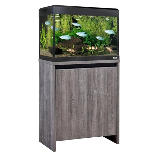 Fluval roma led - roma, aquarium