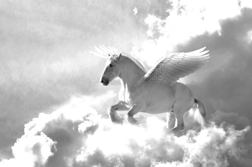 Photo wall mural - wall, mural-pegasus