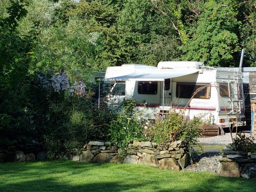 Mehefin coed north - coed,