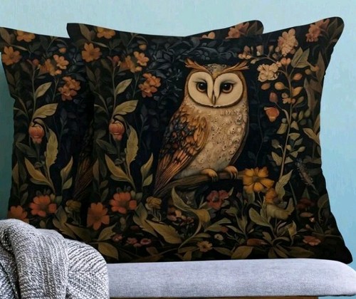 Beautiful owl woodland - x,