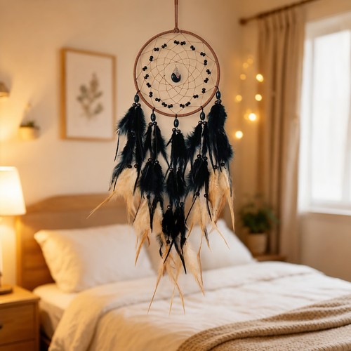 Luxury black feather - , dream