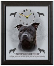 Staffordshire bull terrier