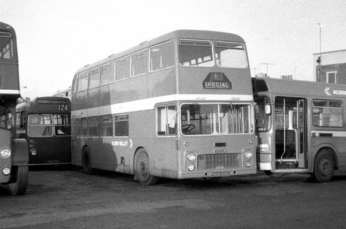 Alder valley ngm158g - alder,
