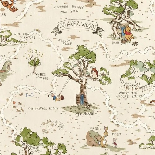 Sanderson disney home - disney,