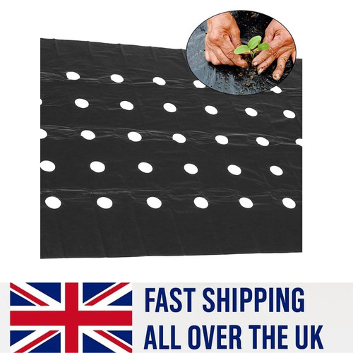 Weed control fabric ground - weed,
