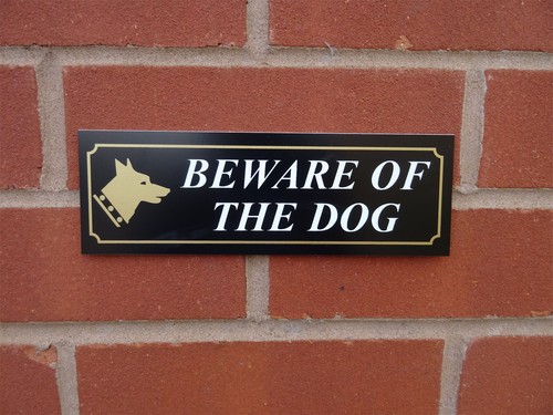 Beware the dog plastic - of,