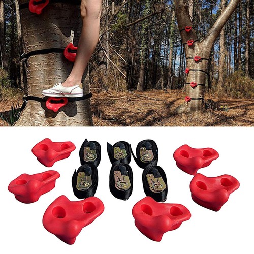 Tree climbing holds - climbing, kids
