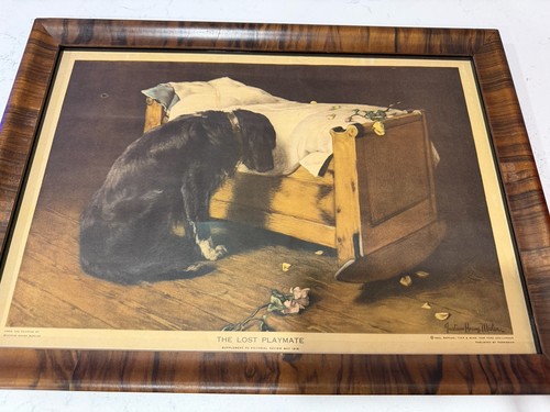 Lost playmate dog mourning - lost, "dog