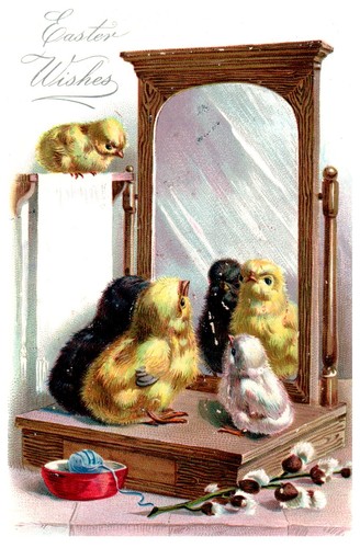 Easter wishes chicks - easter, at