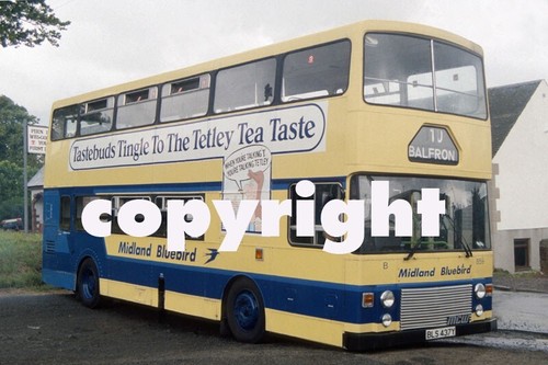Bus photo midland bluebird - midland,