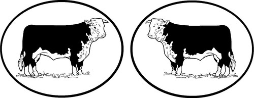 Hereford cow stickers - 2, x