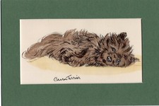 Lucy Dawson ~ Cairn Terrier ~ Hand Coloured Print Genuine Vintage 1939
