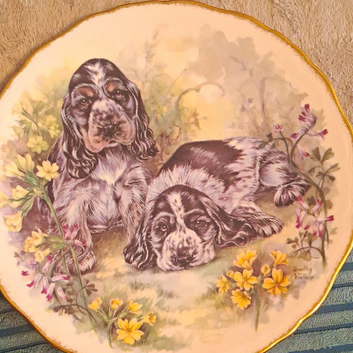 Royal vale ceramic decorative - royal,