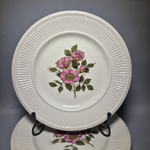 Wedgwood briar rose - briar,