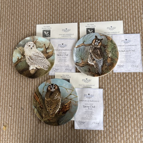 Coalport owl collector plates - owl,