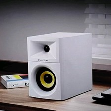 Sanyun SW205 80W 4” Powered