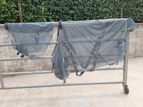 Rhinegold fly rug with sep - rhinegold,