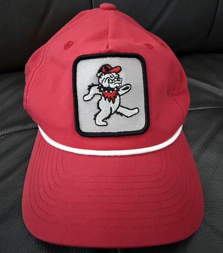 Grateful gamedays trucker uga - gamedays,