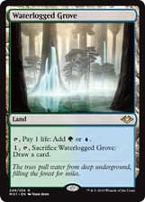Modern Horizons Waterlogged