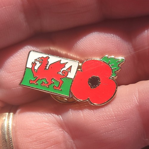 Cardiff city badge wear with - city,