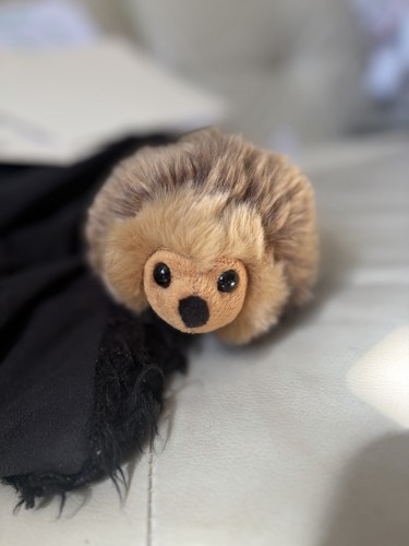 Nature planet hedgehog - nature,