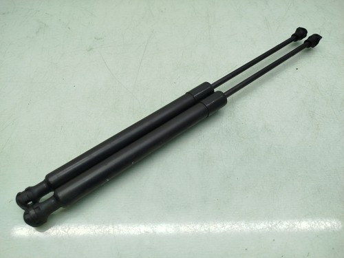 Tailgate gas strut - tailgate,