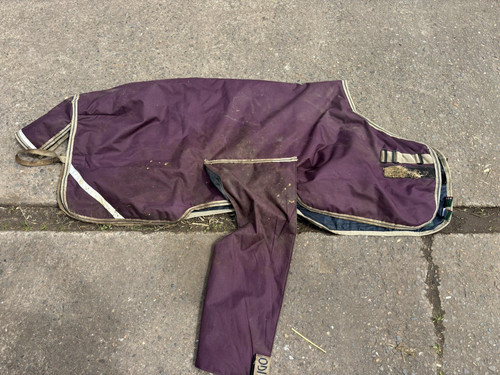 Foal horseware ireland amigo - horseware,