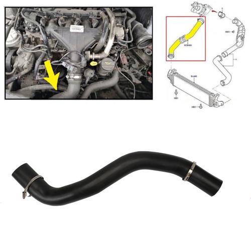 Turbo intercooler hose pipe - turbo,