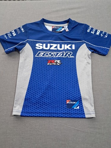 Official team suzuki ecstar - team,